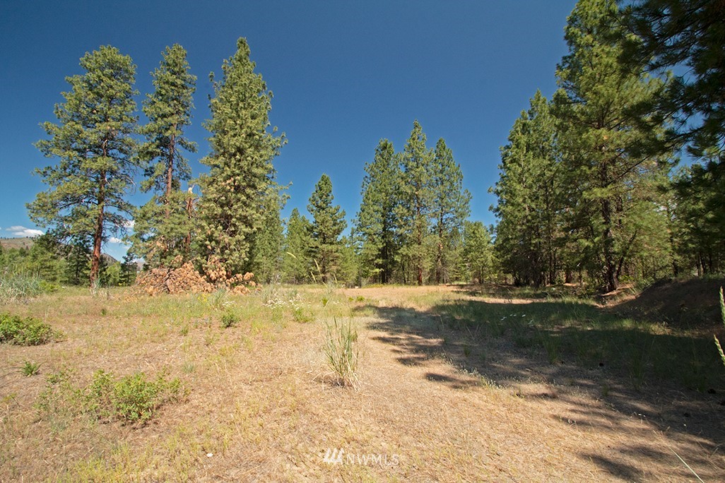 44 Twisp Airport Road Twisp, WA 98856 - Photo 8 of 24