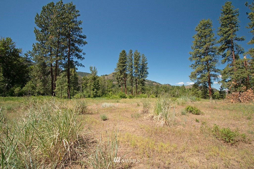 44 Twisp Airport Road Twisp, WA 98856 - Photo 9 of 24