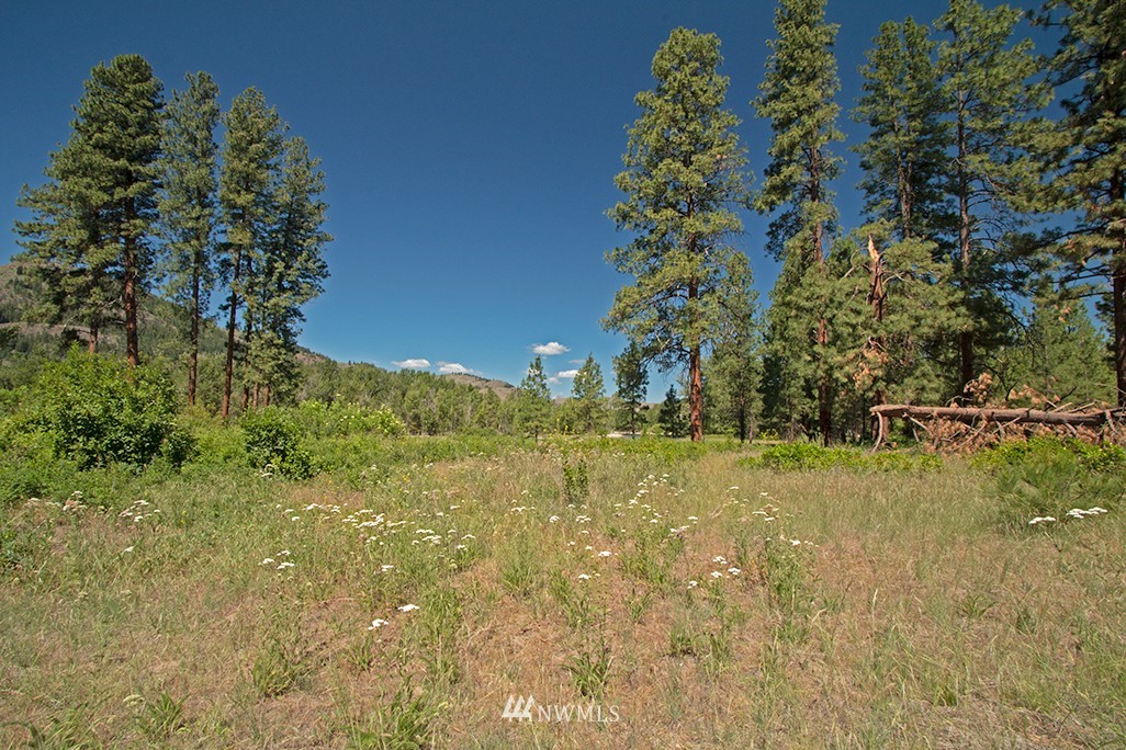 44 Twisp Airport Road Twisp, WA 98856 - Photo 10 of 24