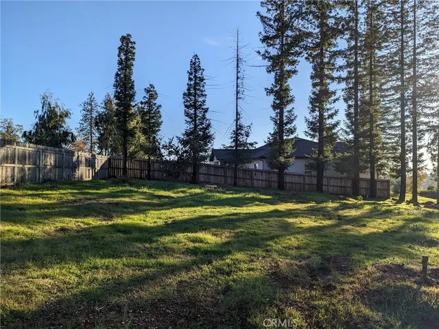 a view of a yard with plants and trees