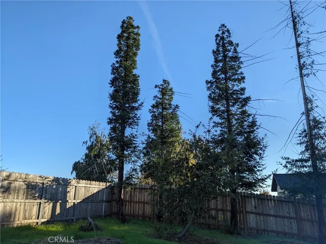 a view of a yard with trees