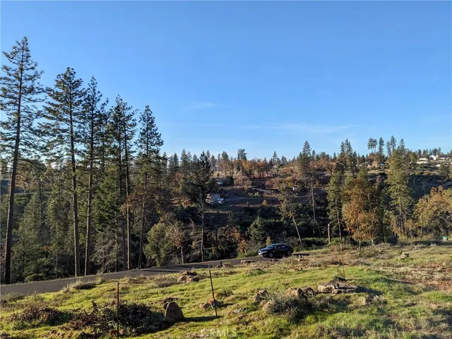 a view of road and trees