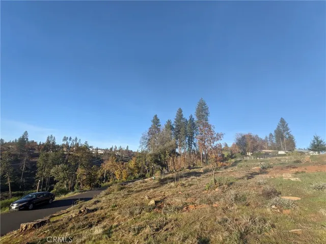 a view of a yard with a tree