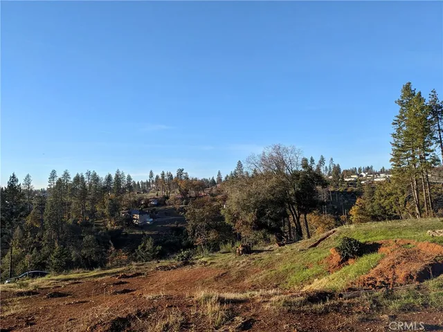 a view of a yard with trees in the background
