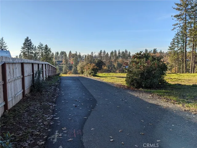 a view of a pathway of a yard