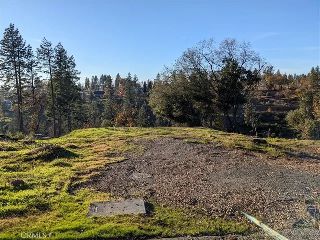 a view of outdoor space with trees