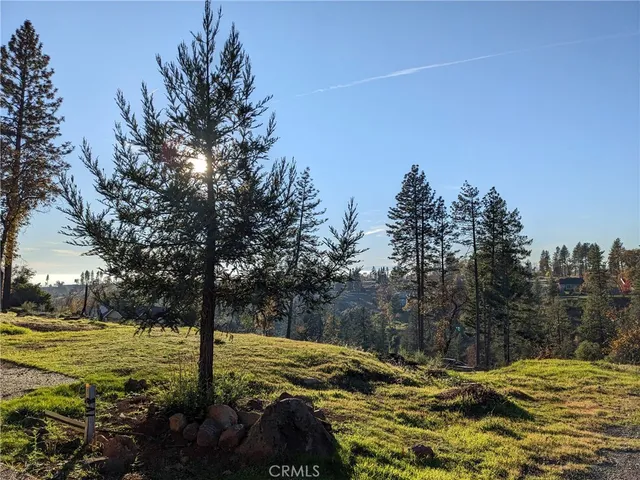 a view of a yard with plants and trees