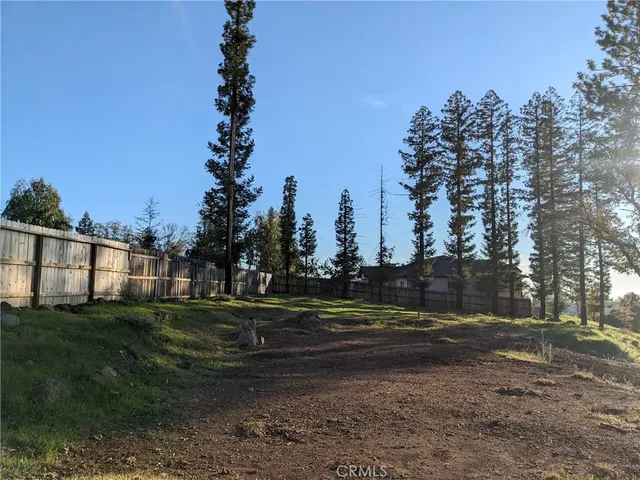 a view of a yard with a tree