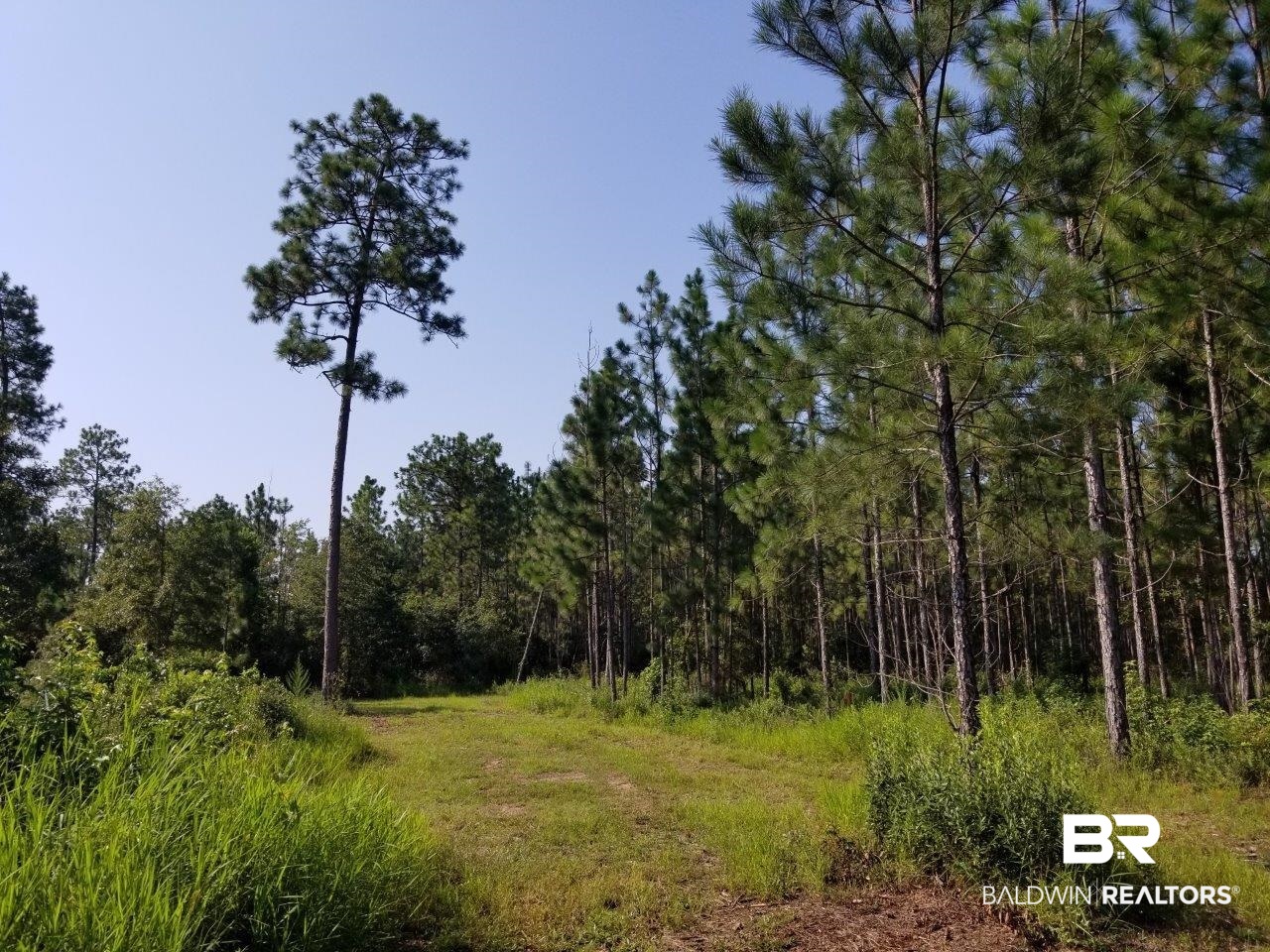 0 Jerkins Loop Atmore, AL 36502 - Photo 10 of 50