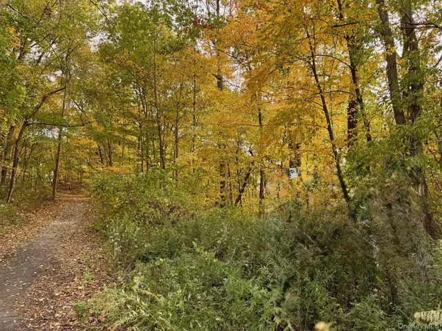 a view of a yard of a building