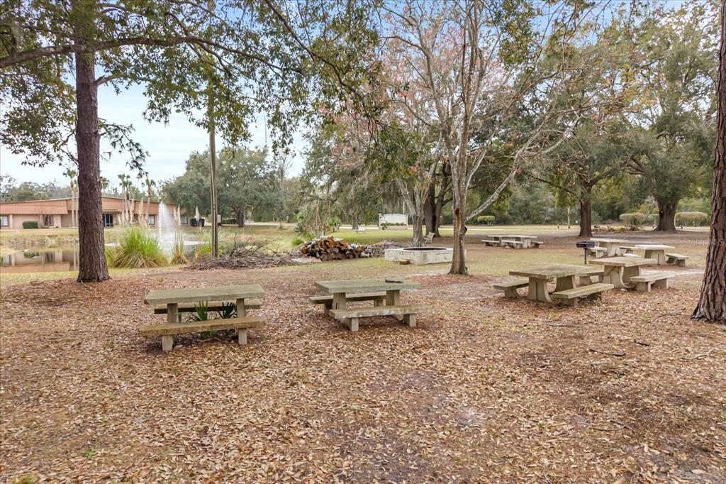 1960 Pinewood Lane Mount Dora, FL 32757 - Photo 12 of 12 a view of a backyard with large trees