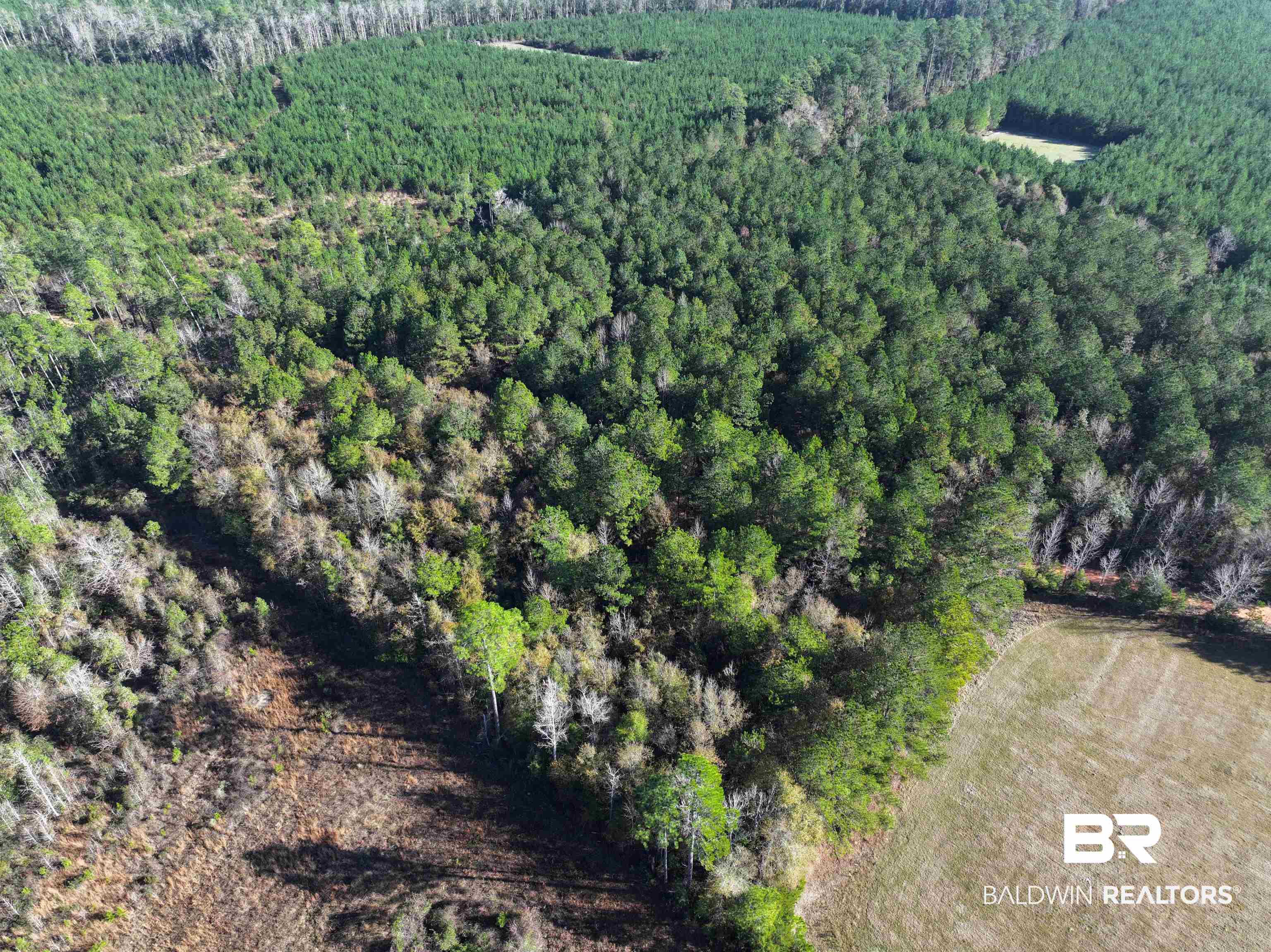 0 Judge Level Road Brewton, AL 36426 - Photo 5 of 9 Bird's eye view