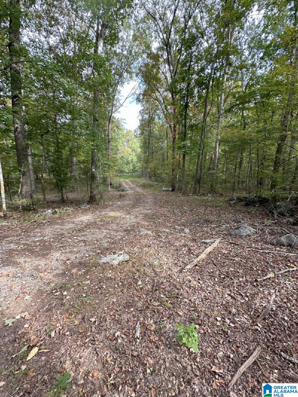 0 Cathedral Caverns Road Woodville, AL 35776 - Photo 9 of 14