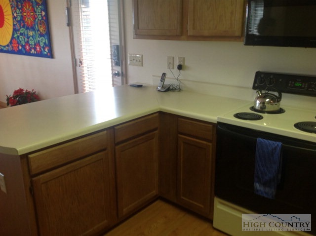 112 Grassy Gap Loop Road, Unit GGGC Beech Mountain, NC 28604 - Photo 3 of 38