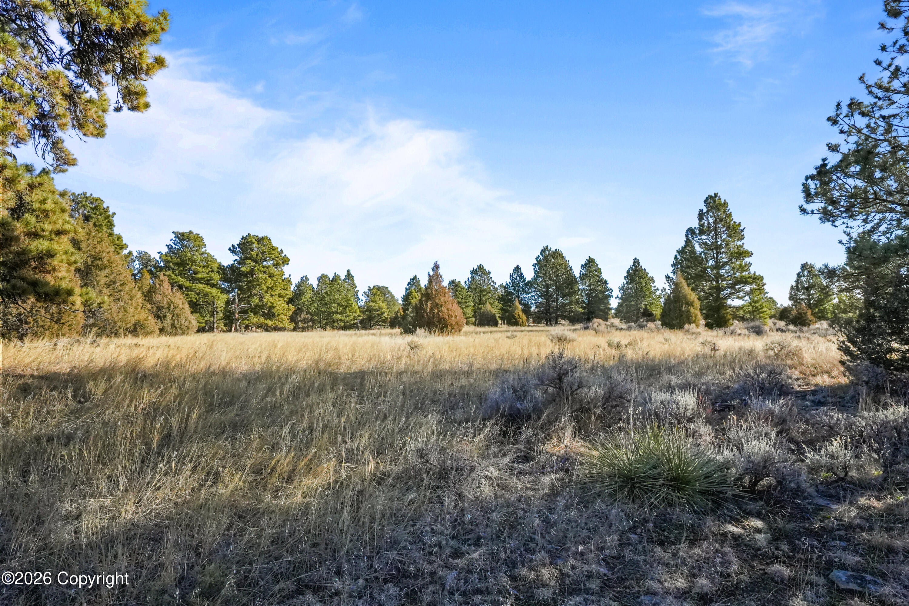 Lot 1 Sunset Ridge Road Newcastle, WY 82701 - Photo 23 of 27 DSC04109