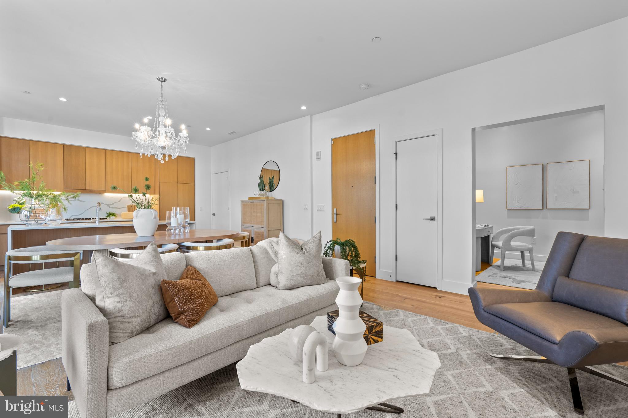 1324 E Street Southeast, Unit 201 Washington, DC 20003 - Photo 16 of 47 a living room with furniture and a chandelier