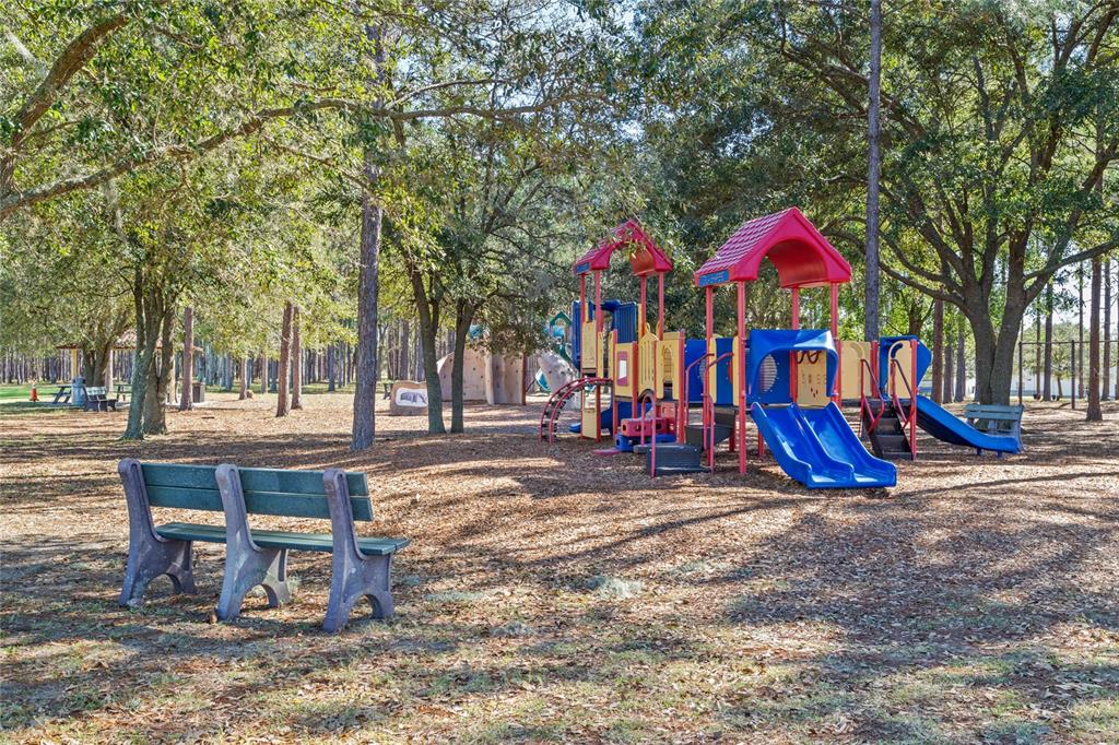 3609 Apopka Ridge Circle Apopka, FL 32703 - Photo 70 of 75