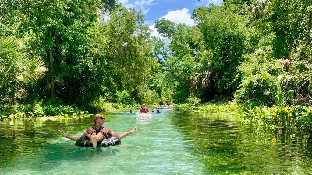 3609 Apopka Ridge Circle Apopka, FL 32703 - Photo 74 of 75