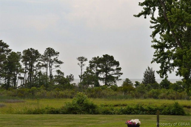 29 Fleeton Point Circle Reedville, VA 22539 - Photo 4 of 22