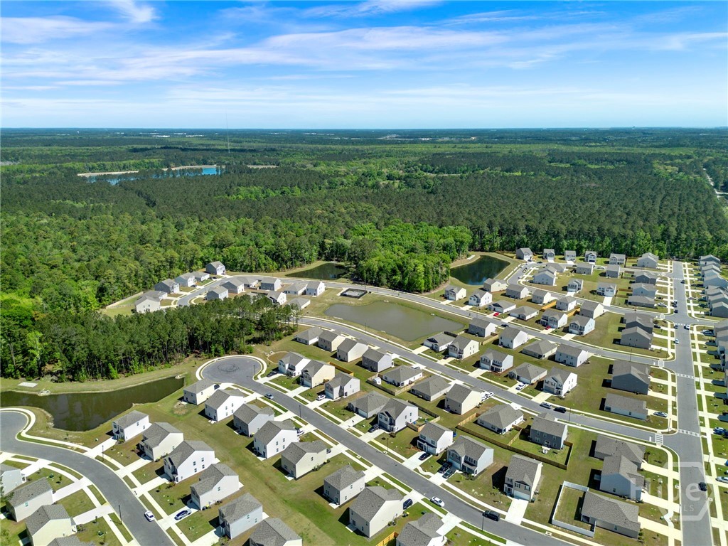 160 Painted Lady Loop Savannah, GA 31419 - Photo 43 of 49