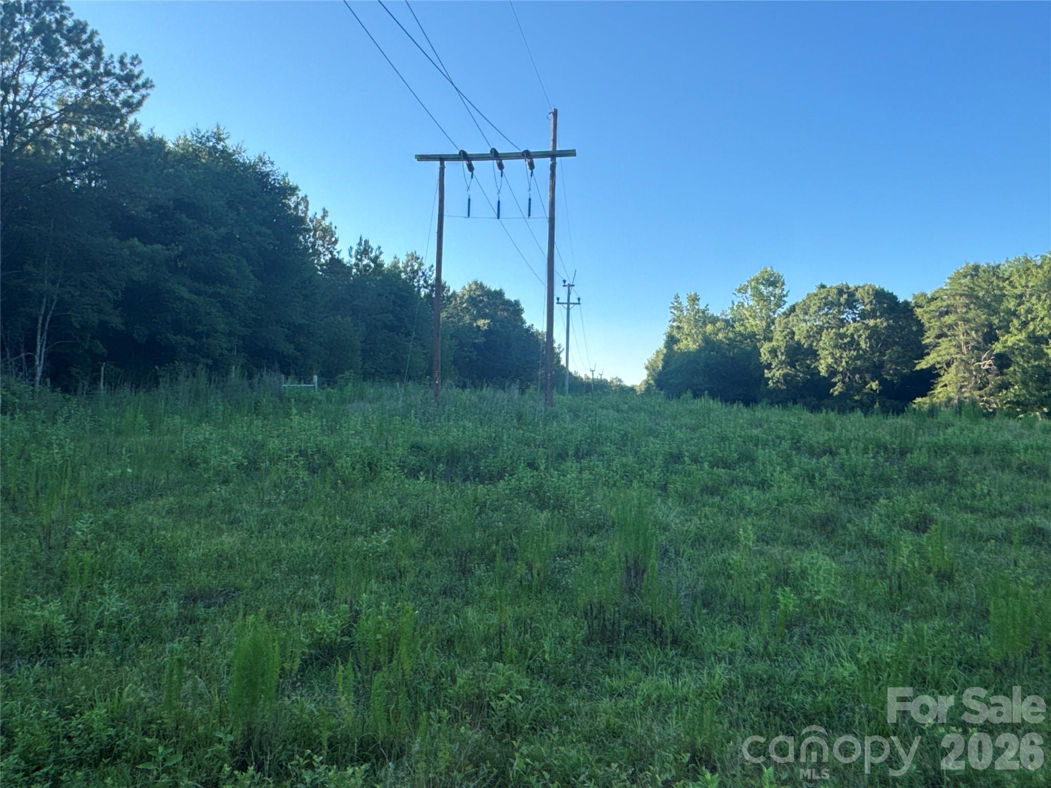 328 Sandy Run Church Road Mooresboro, NC 28114 - Photo 32 of 48