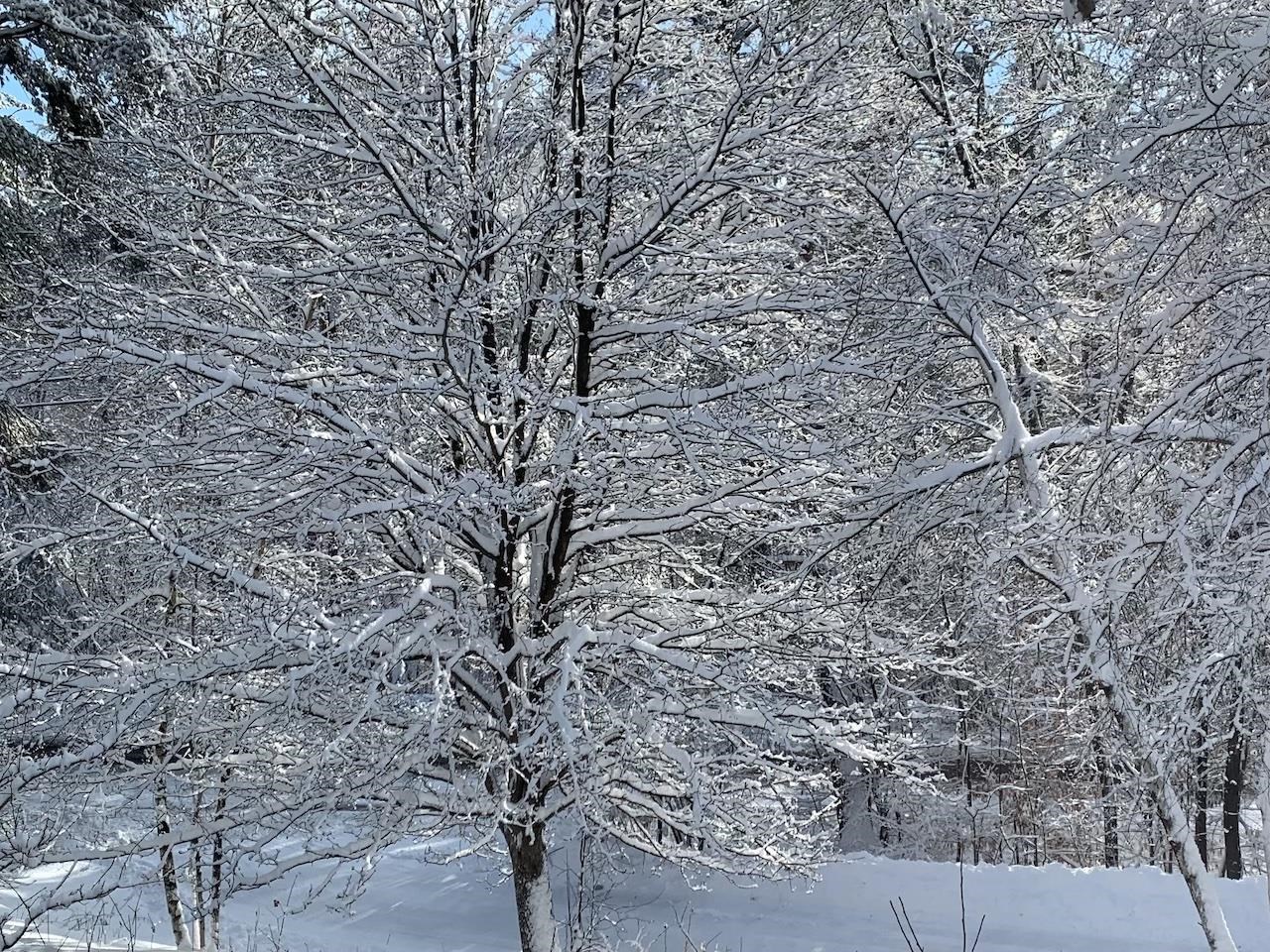 0 Cushing Road Quechee, VT 05059 - Photo 1 of 10 Gallery Image 1