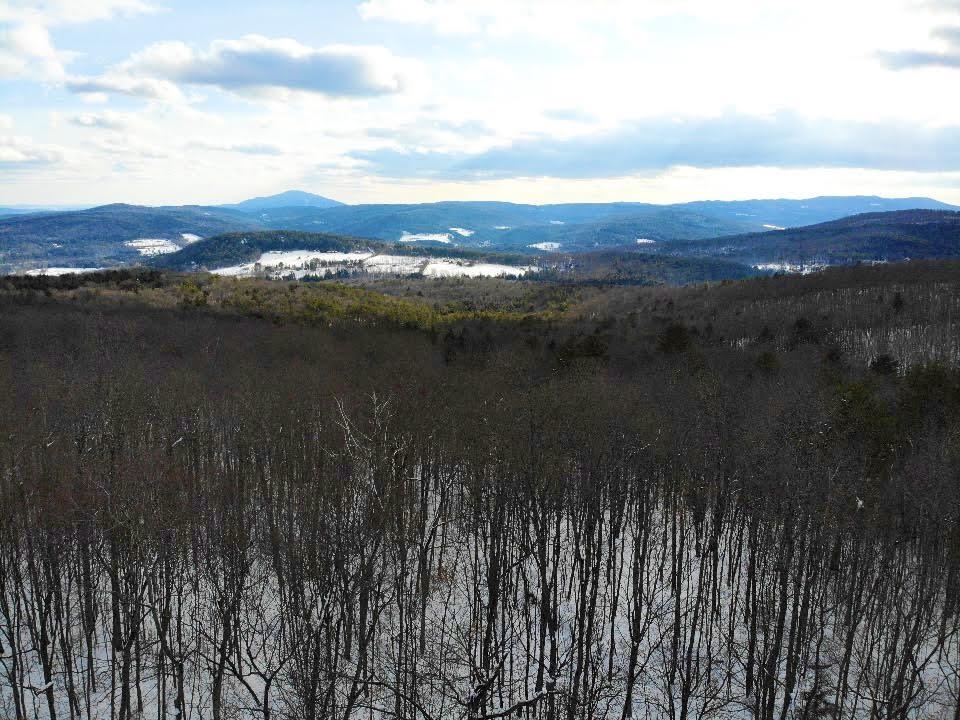 0 Cushing Road Quechee, VT 05059 - Photo 4 of 10 Gallery Image 4