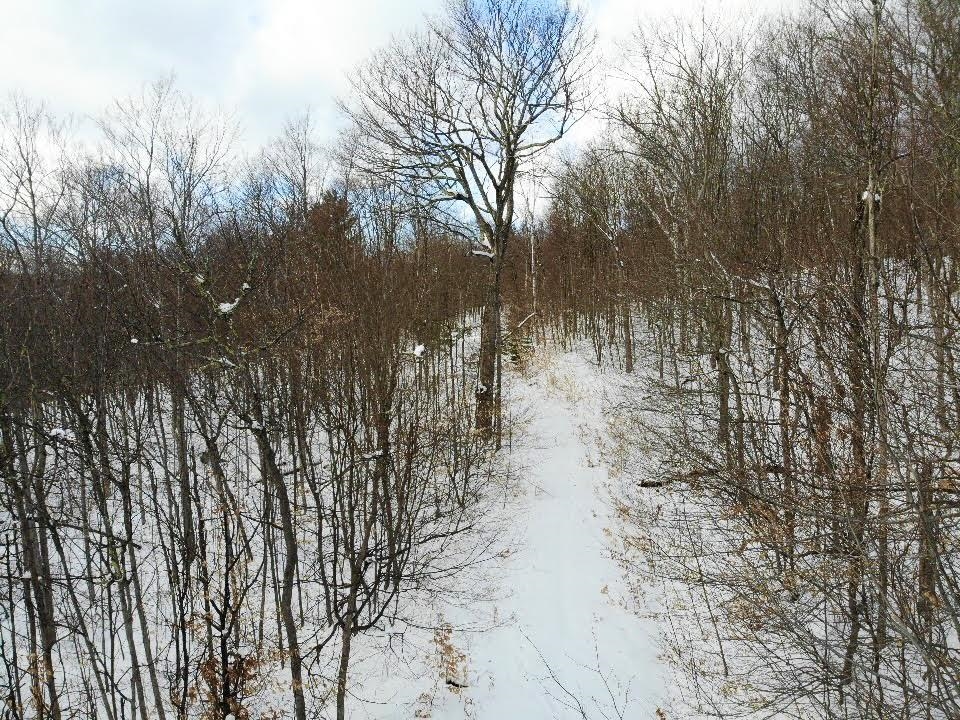 0 Cushing Road Quechee, VT 05059 - Photo 5 of 10 Gallery Image 5