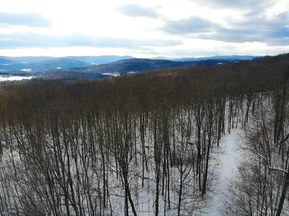 0 Cushing Road Quechee, VT 05059 - Photo 7 of 10 Gallery Image 7