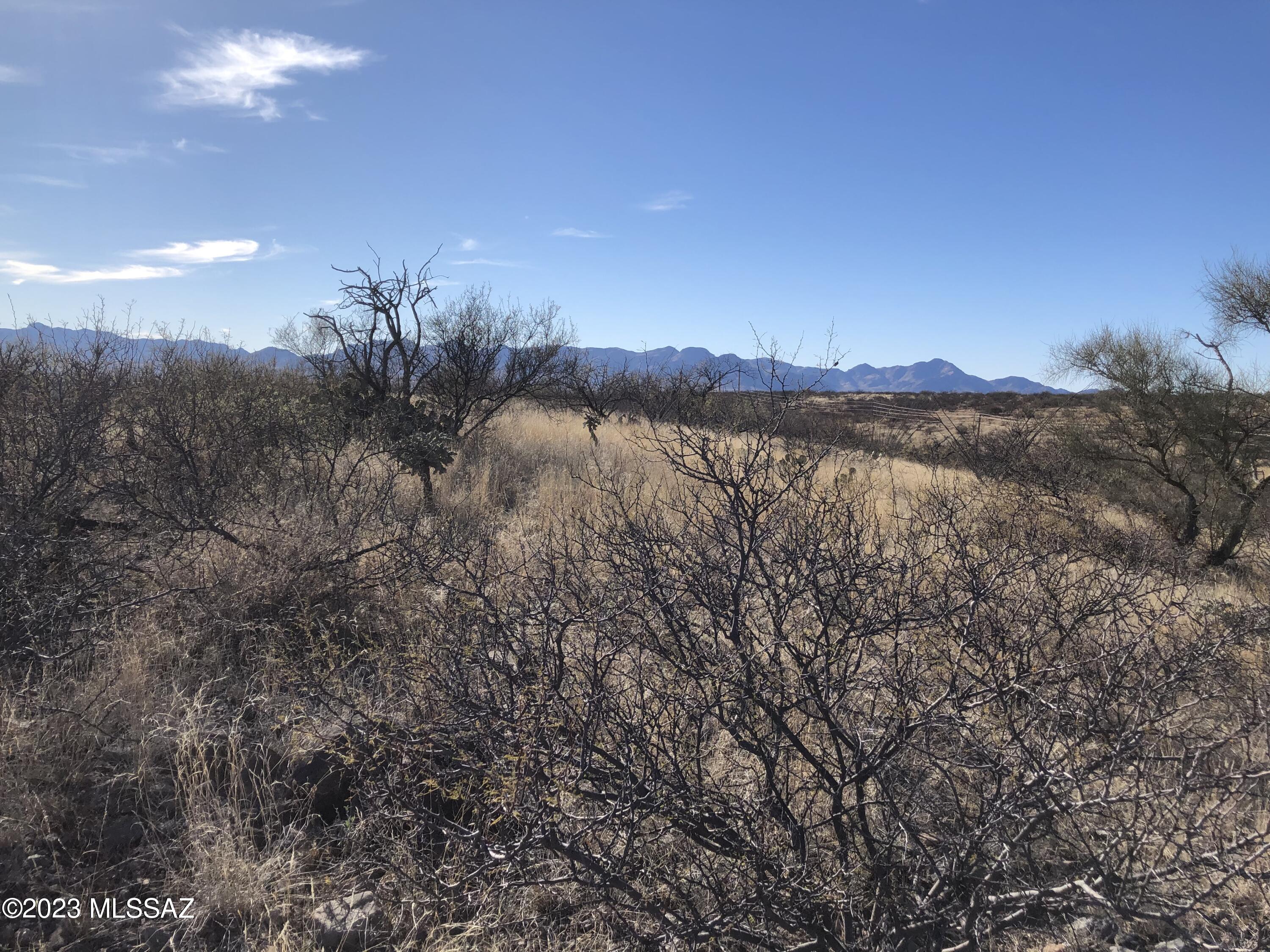 415 Pelicano Ct., Unit 7172 Rio Rico, AZ 85648 - Photo 9 of 21