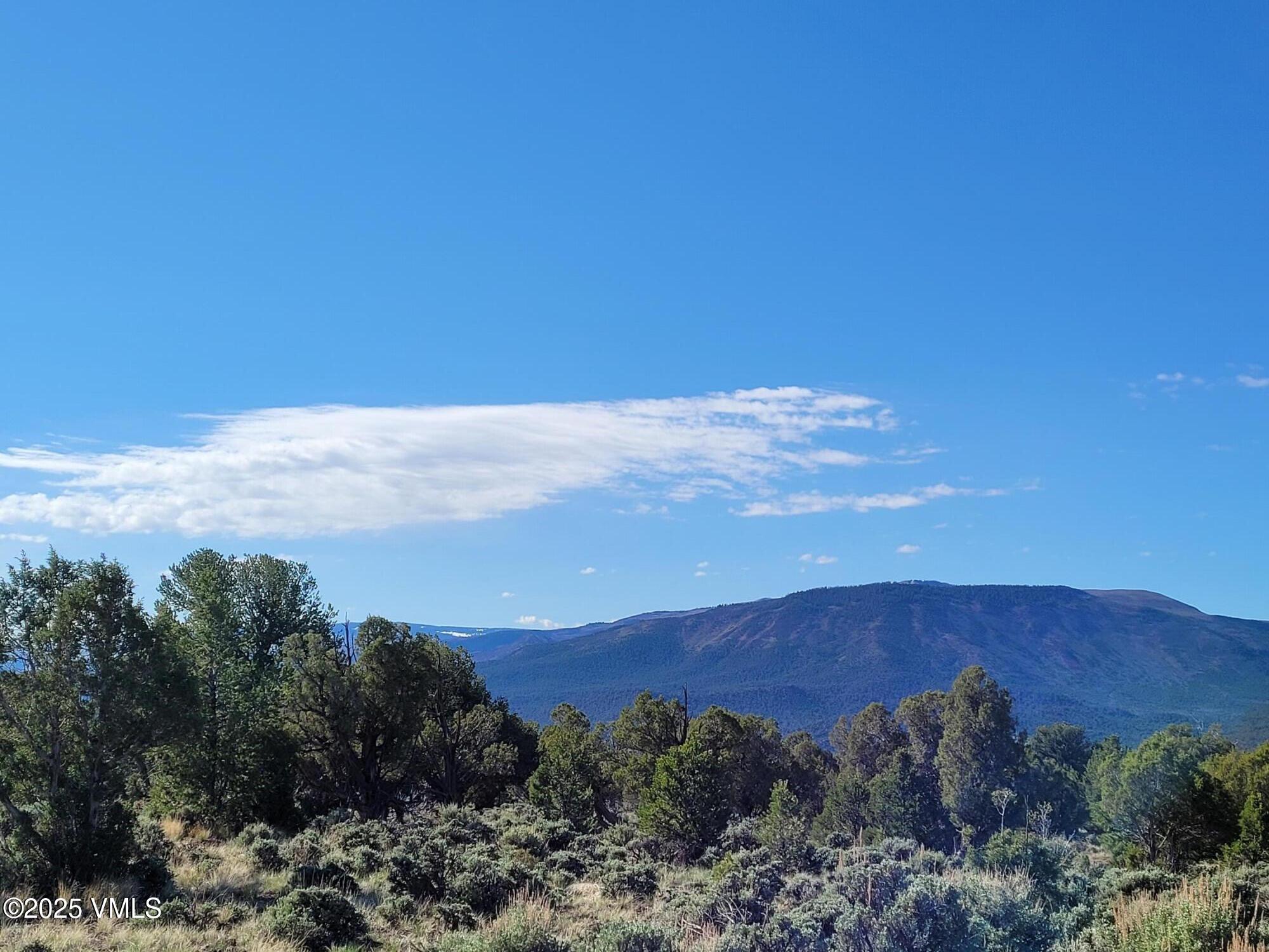 650 Pinon Crest Way McCoy, CO 80463 - Photo 2 of 4 Giant Pinon and Juniper