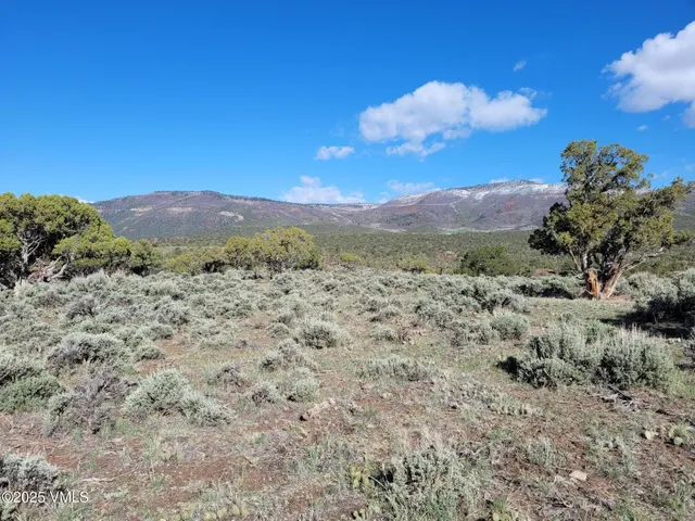 a view of a dry yard with mountains in the background