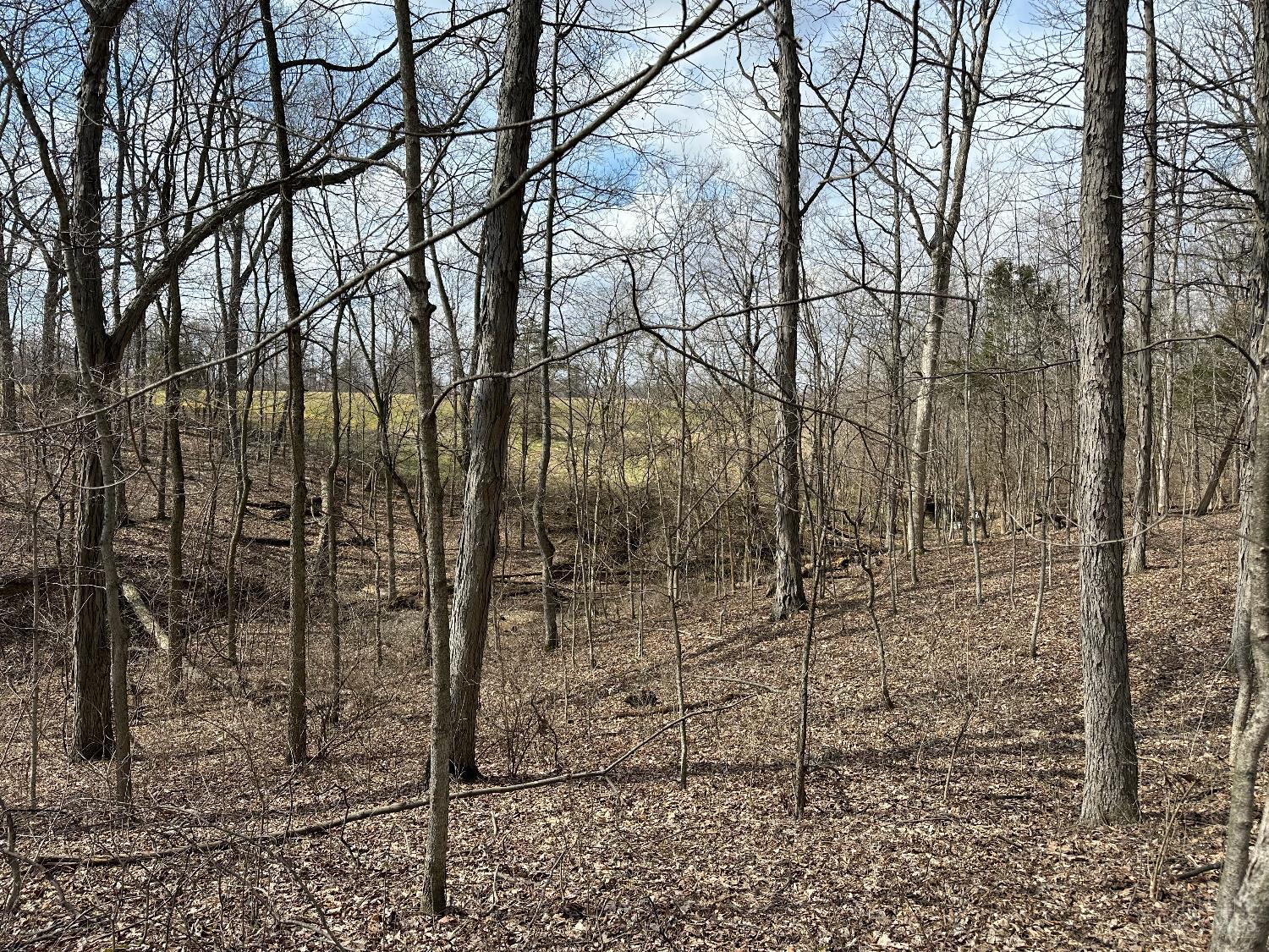 0 Wilson Road Winchester, OH 45697 - Photo 42 of 69
