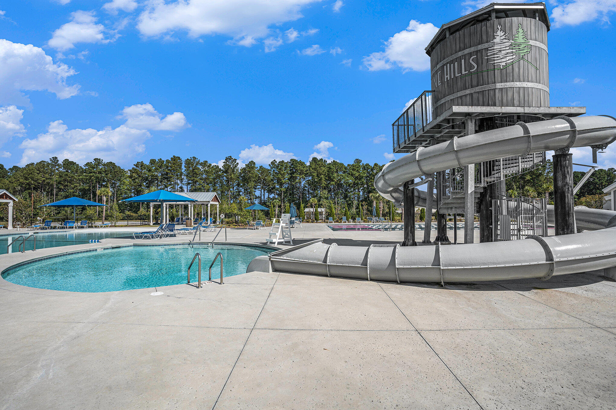 134 Ivory Shadow Road Summerville, SC 29486 - Photo 42 of 46 Waterslide