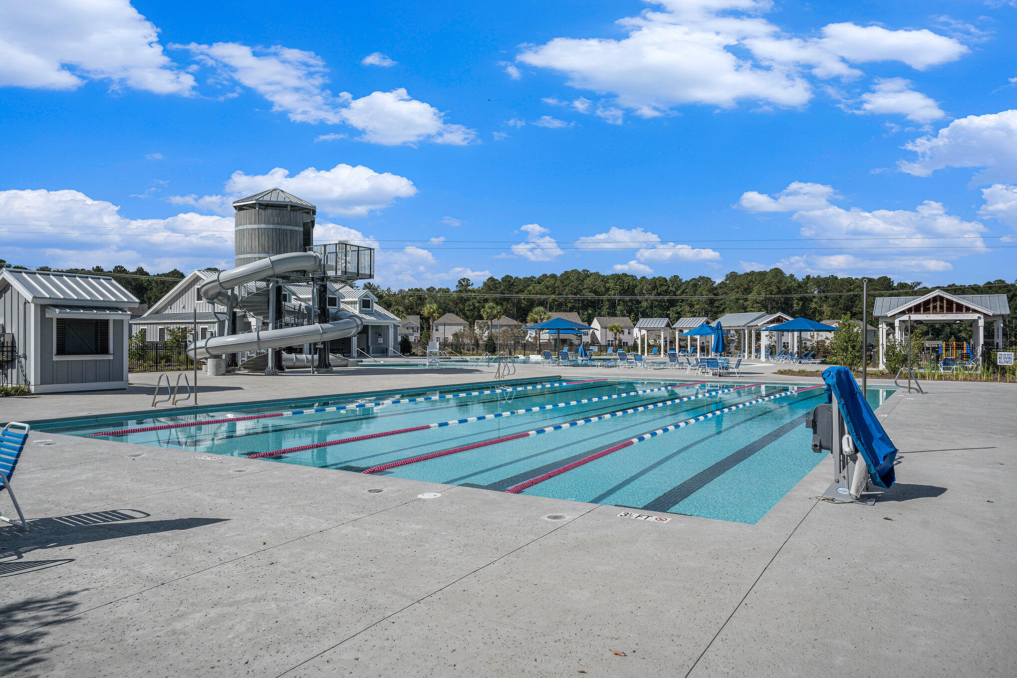 134 Ivory Shadow Road Summerville, SC 29486 - Photo 43 of 46 Lap Pool