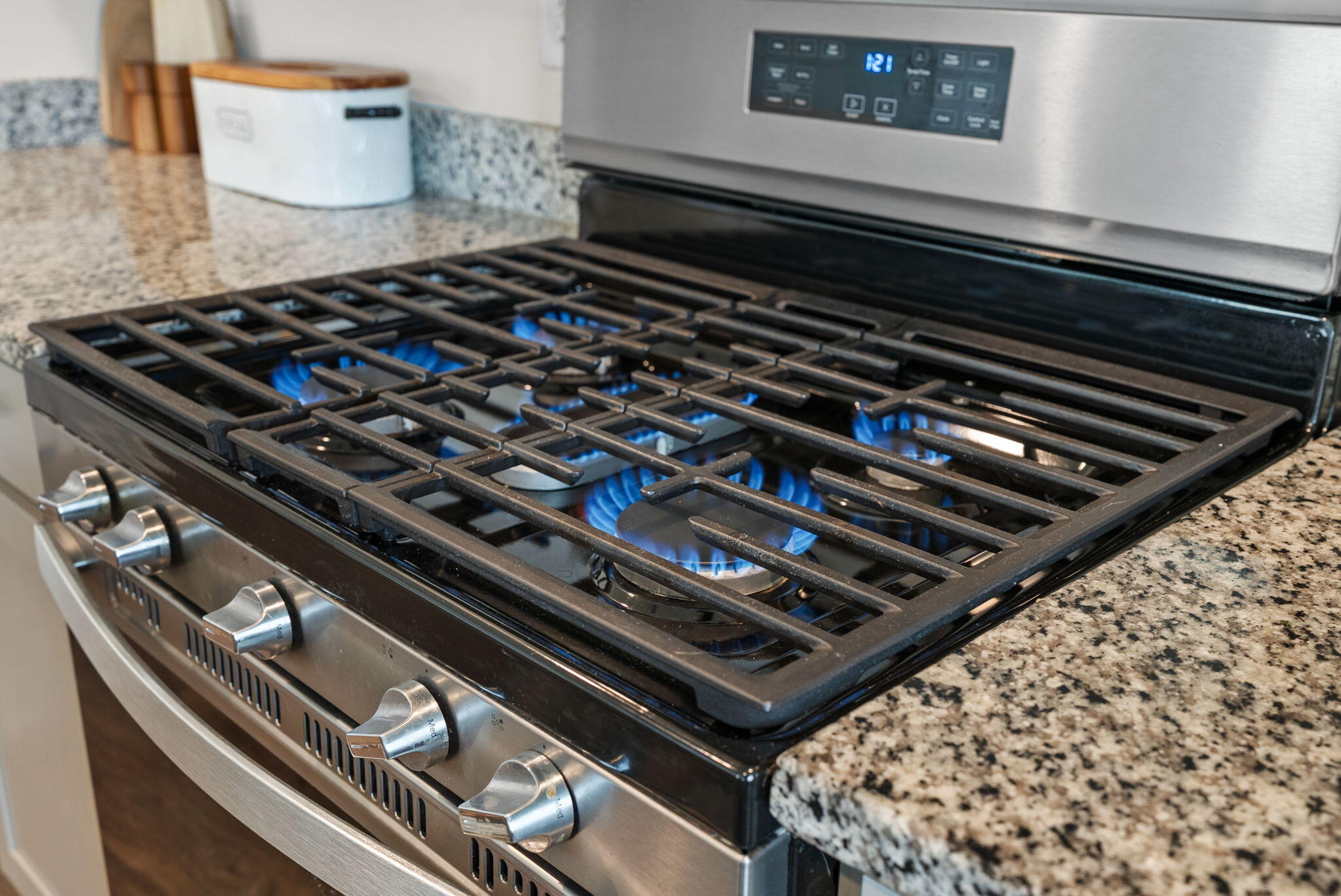 134 Ivory Shadow Road Summerville, SC 29486 - Photo 10 of 46 Gas Range