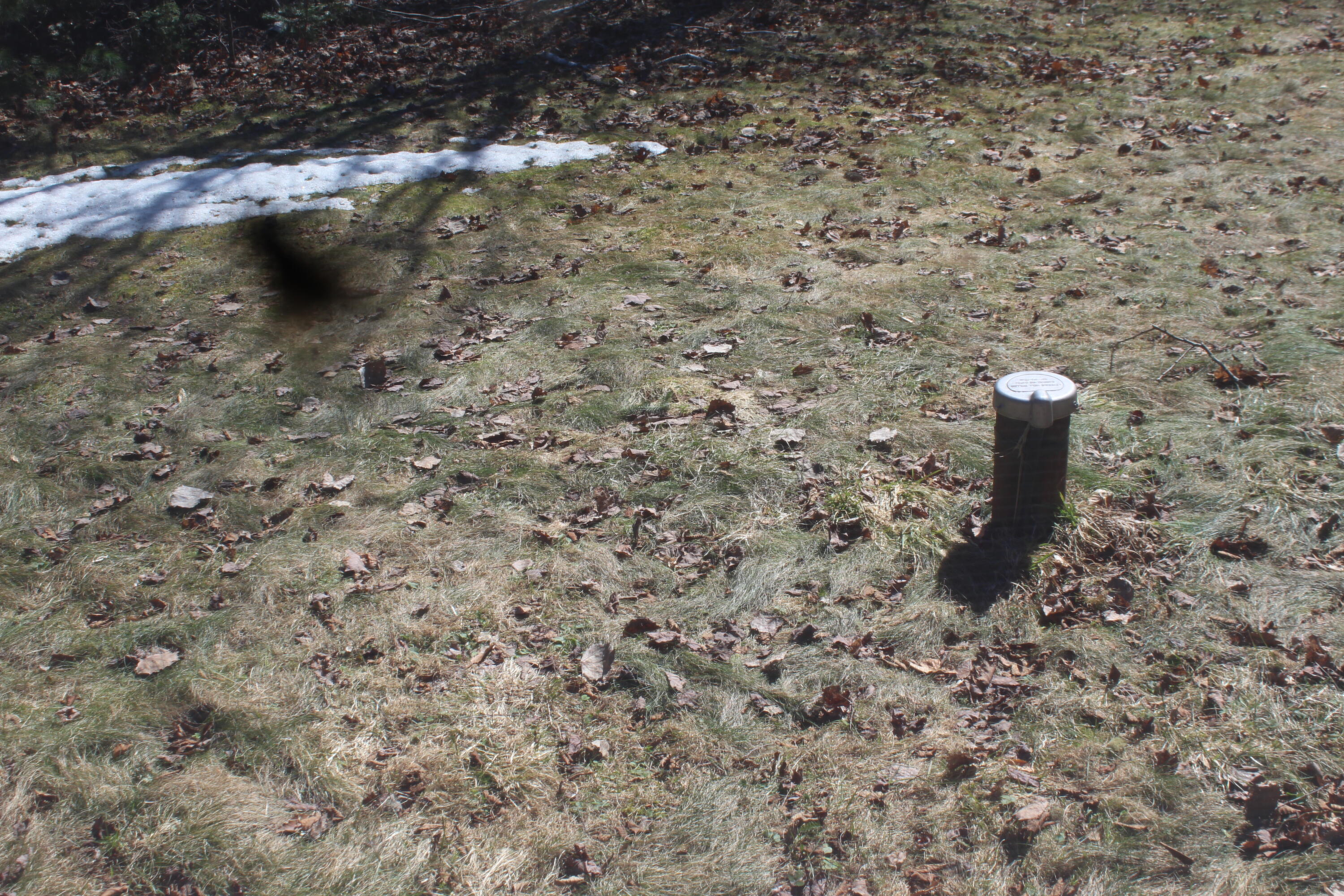 86 Black Point Road Mount Chase, ME 04765 - Photo 5 of 19 IMG_6682