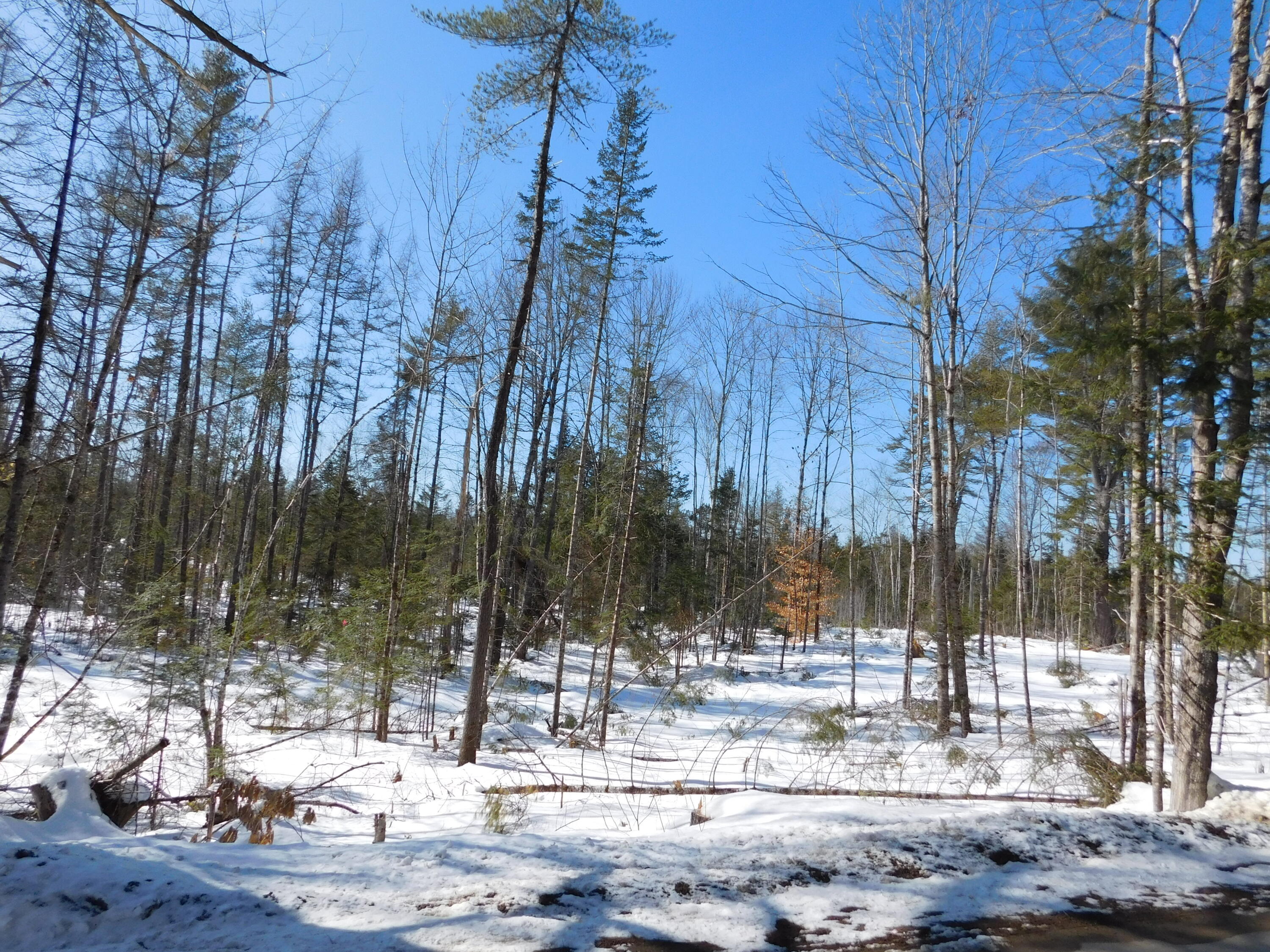 Lot # Spring Bridge Road Greenbush, ME 04418 - Photo 2 of 5 DSCN0128