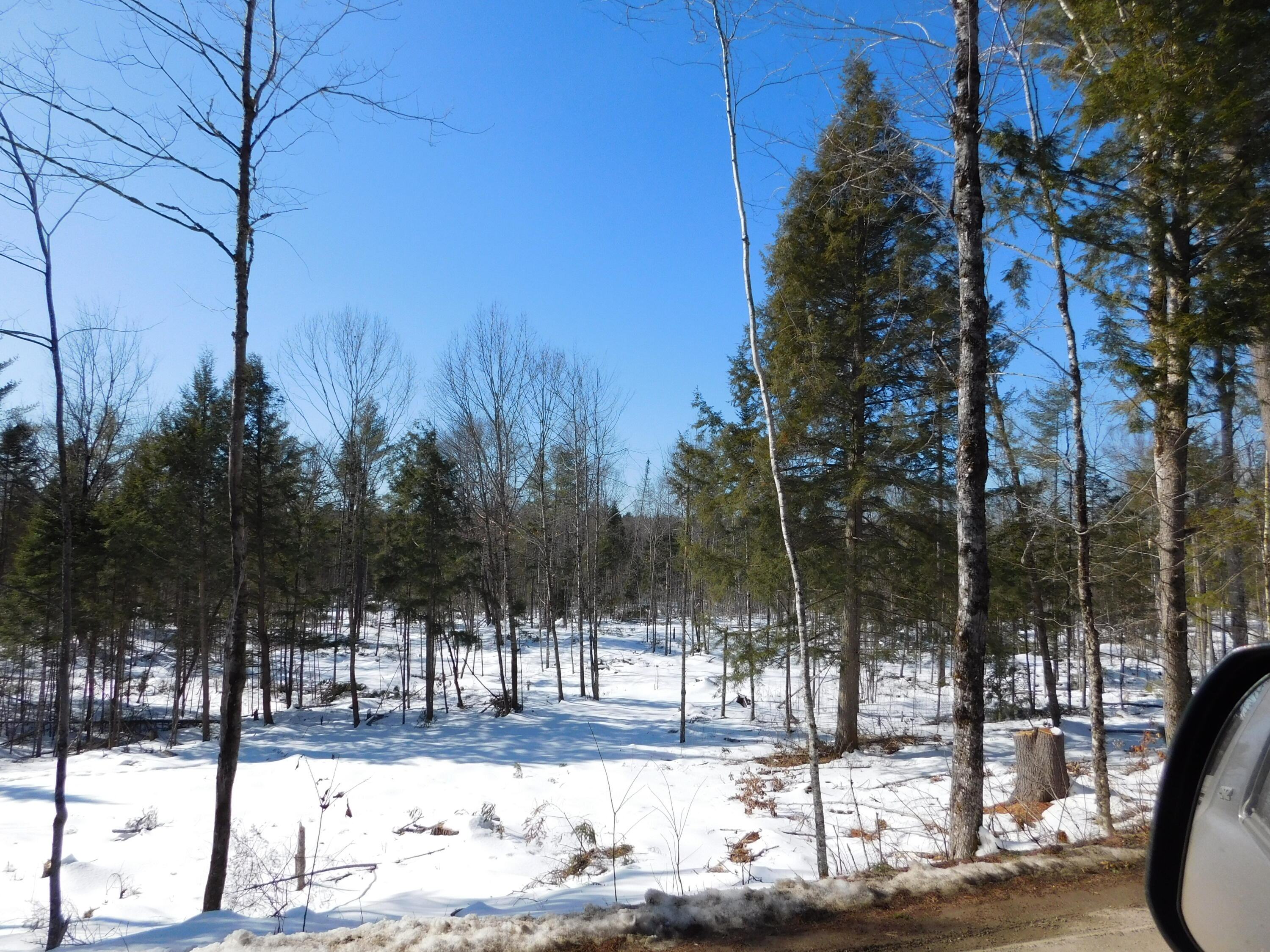 Lot # Spring Bridge Road Greenbush, ME 04418 - Photo 3 of 5 DSCN0131