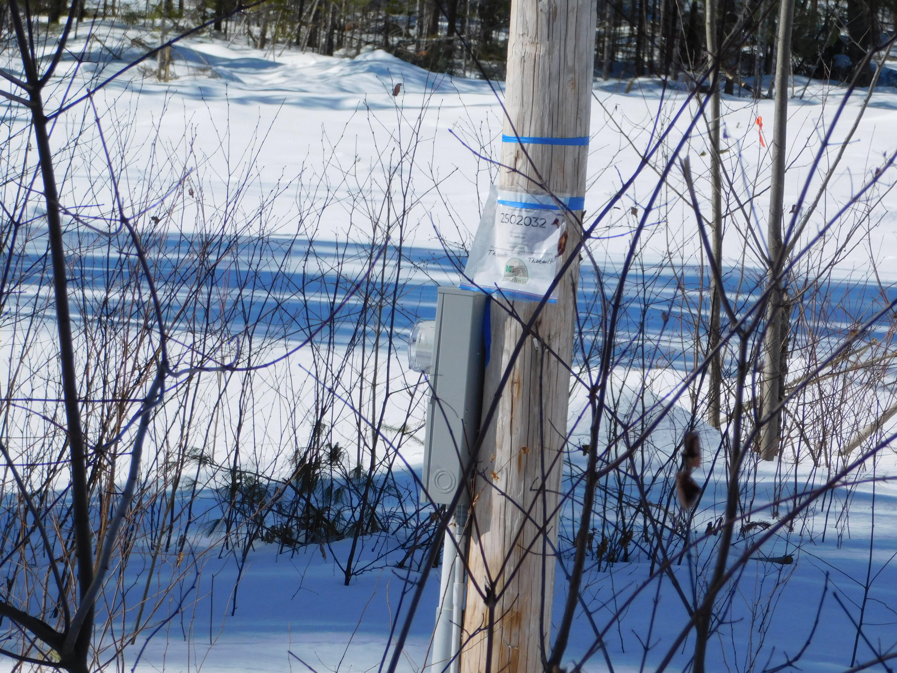 Lot # Spring Bridge Road Greenbush, ME 04418 - Photo 5 of 5 DSCN0130