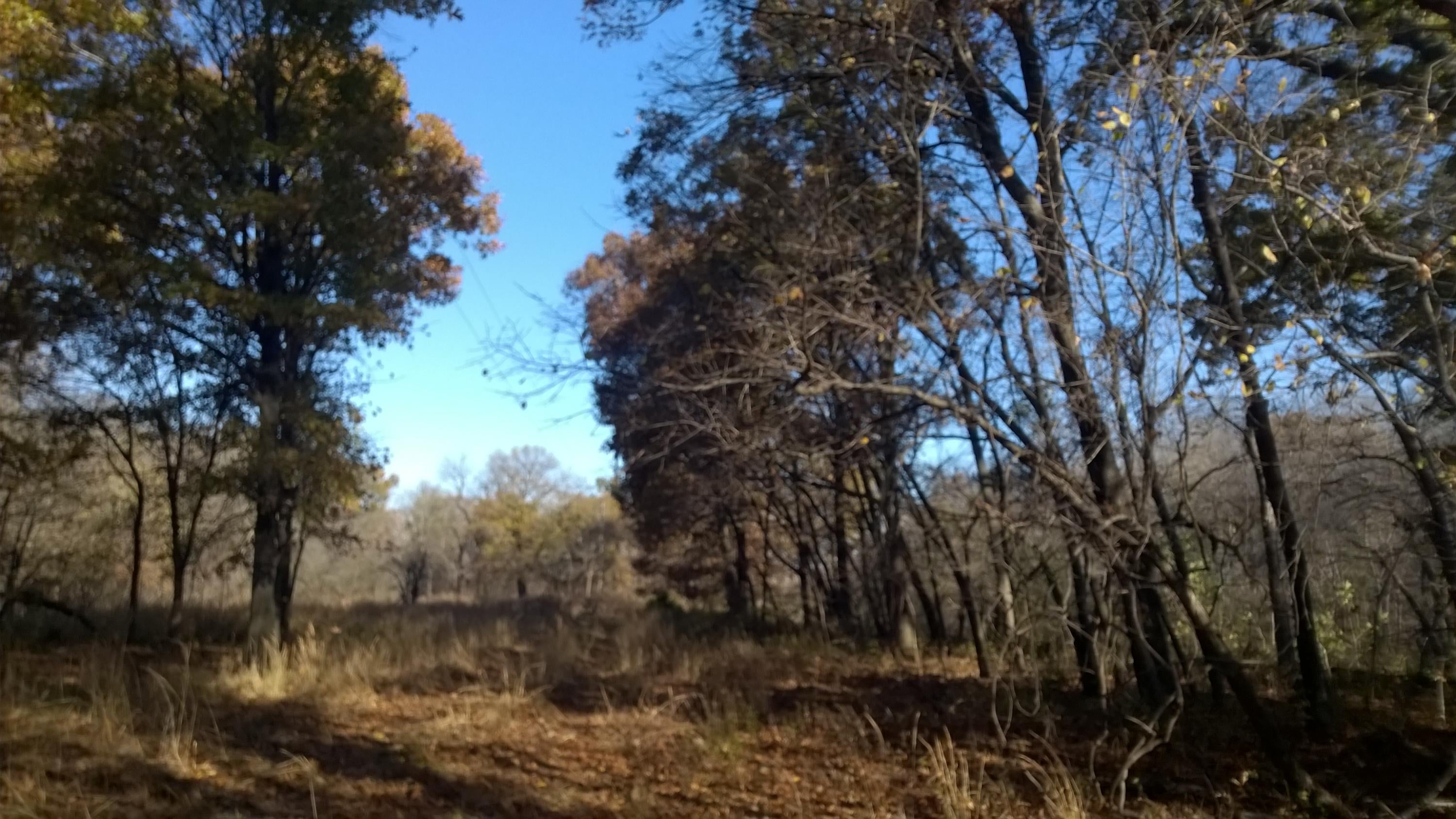 6 R R Wann, OK 74083 - Photo 25 of 48 Gallery Image 25