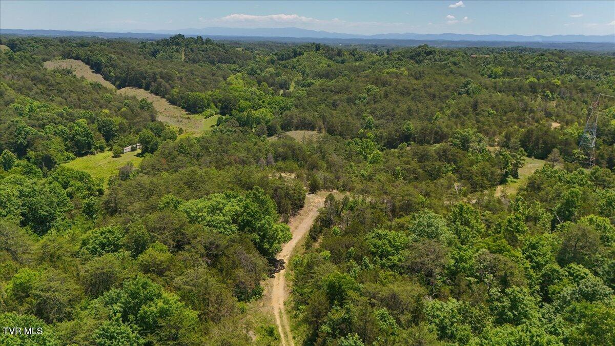 5441 Fred Marshall Road Russellville, TN 37860 - Photo 14 of 20 13-DJI_20260604133507_0923_D