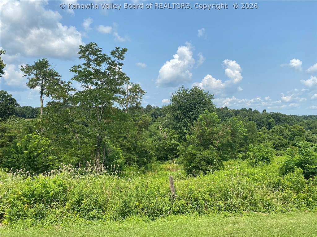249 Hamilton Ridge Road Ravenswood, WV 26164 - Photo 8 of 28 Gallery Image 8