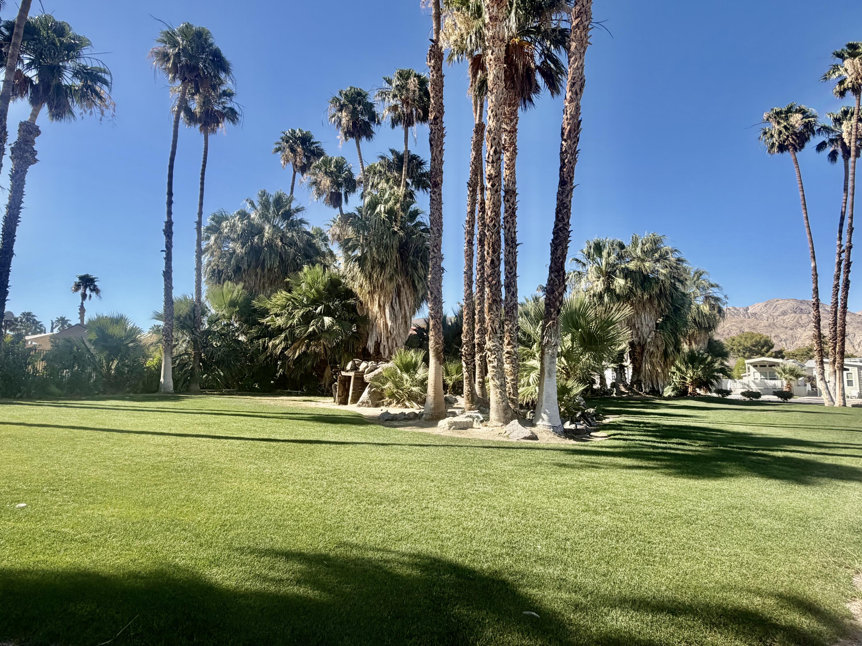 74711 Dillon Road, Unit 264 Desert Hot Springs, CA 92241 - Photo 7 of 21 a view of a golf course