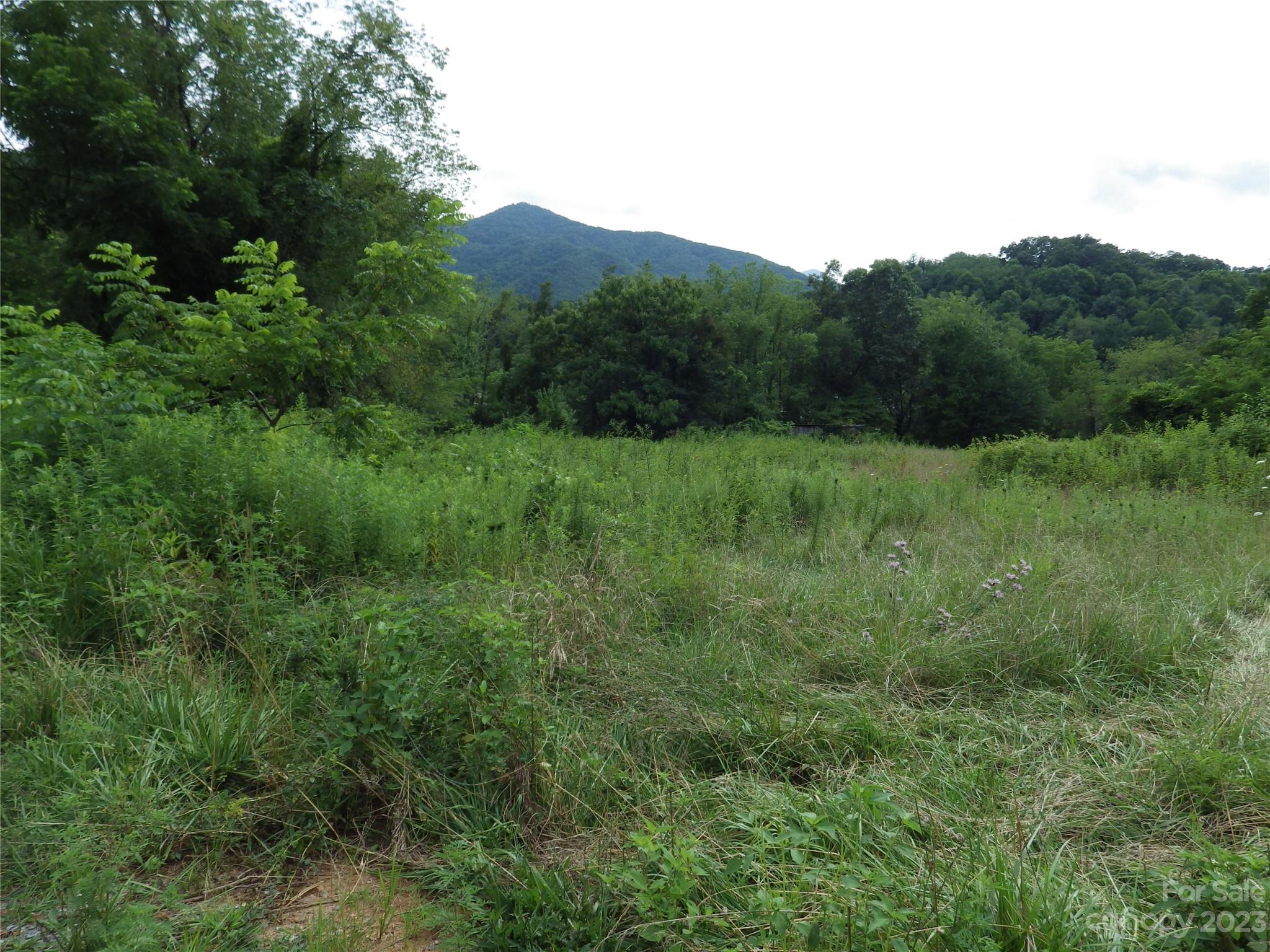 0 Revis Road, Unit 3 Waynesville, NC 28785 - Photo 1 of 6 Gallery Image 1