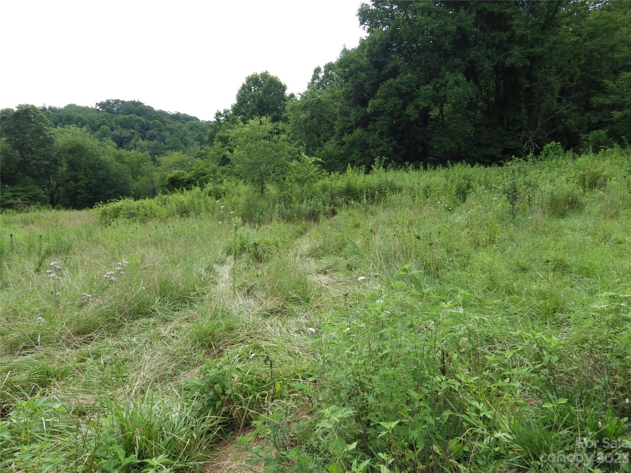 0 Revis Road, Unit 3 Waynesville, NC 28785 - Photo 3 of 6 Gallery Image 3
