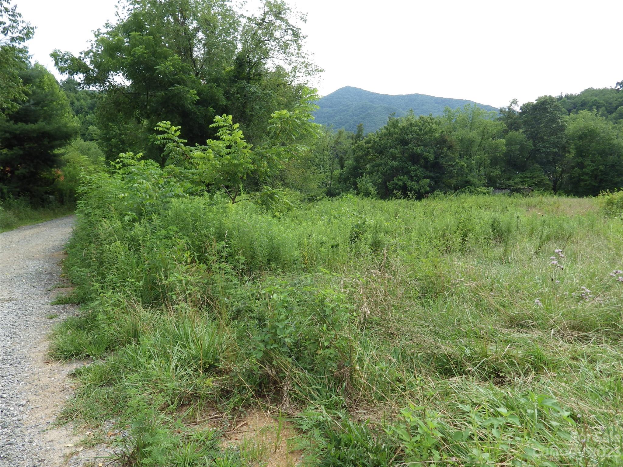 0 Revis Road, Unit 3 Waynesville, NC 28785 - Photo 5 of 6 Gallery Image 5