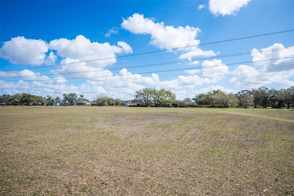 9736 Trumpet Vine Loop Trinity, FL 34655 - Photo 31 of 35 a view of lake and mountain