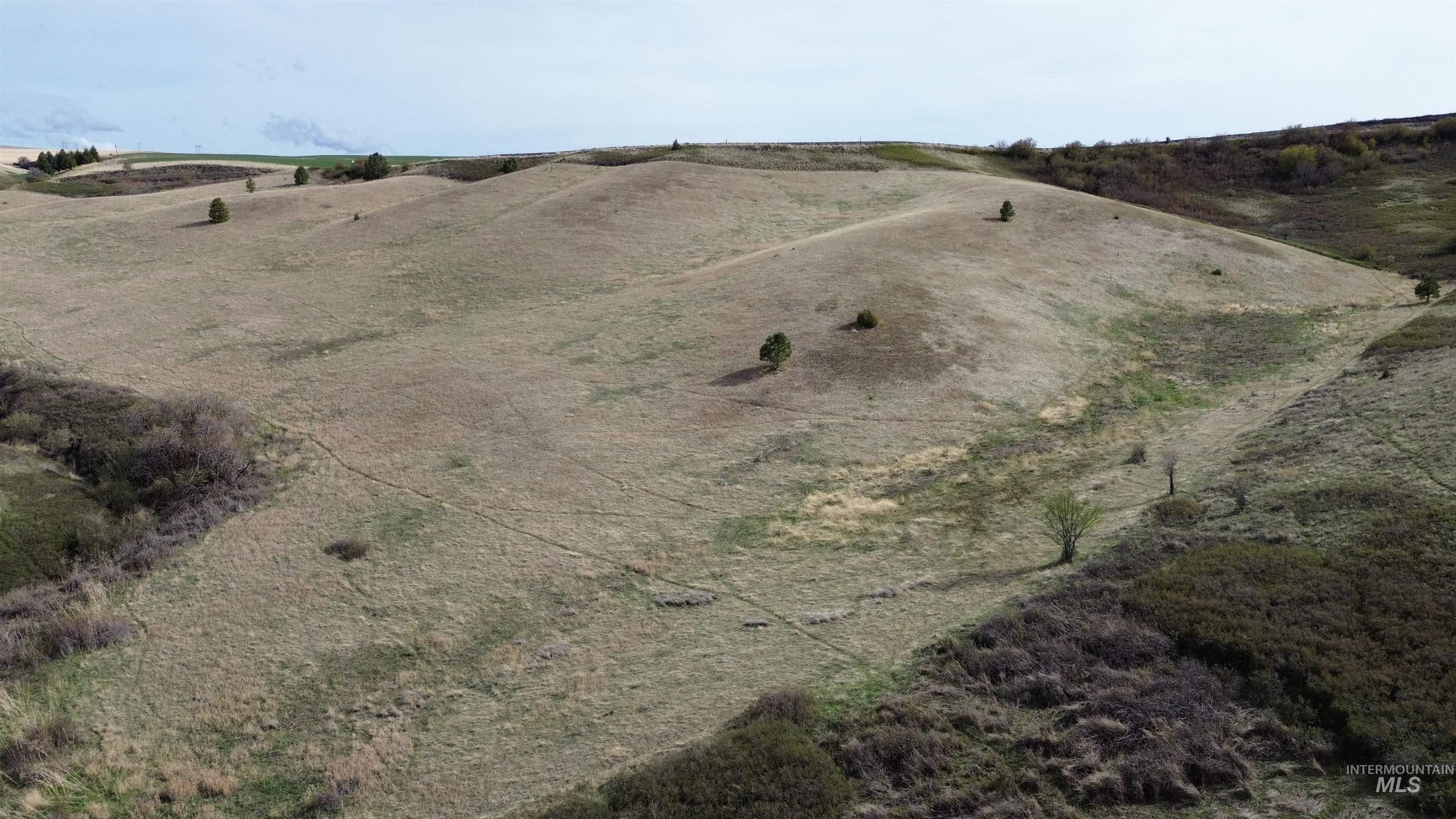 Nka Nka Blindgrade Road Pomeroy, WA 99347 - Photo 19 of 20