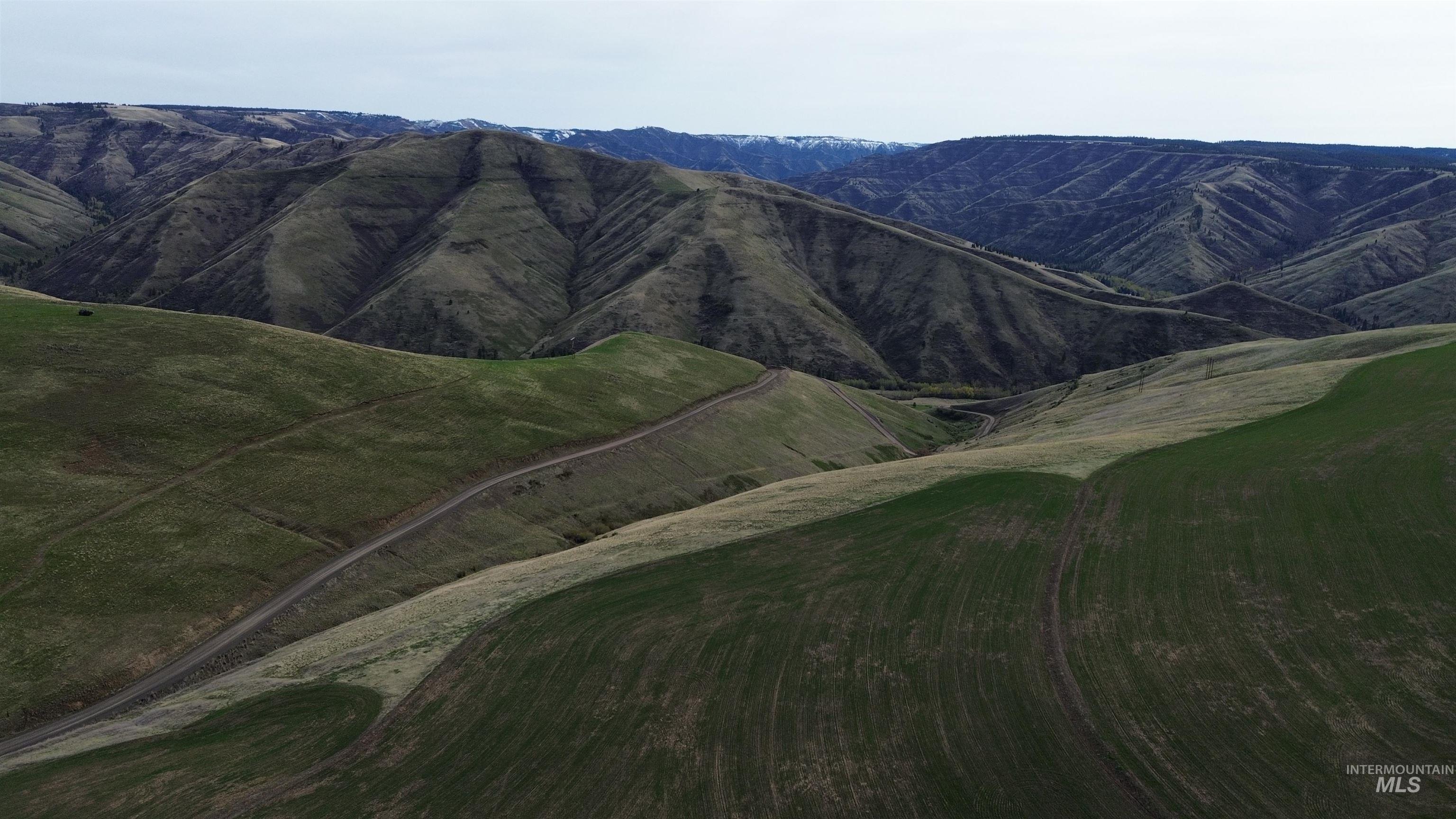 Nka Nka Blindgrade Road Pomeroy, WA 99347 - Photo 21 of 26